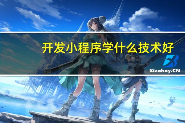 开发小程序学什么技术好