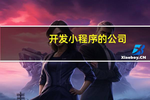 开发小程序的公司