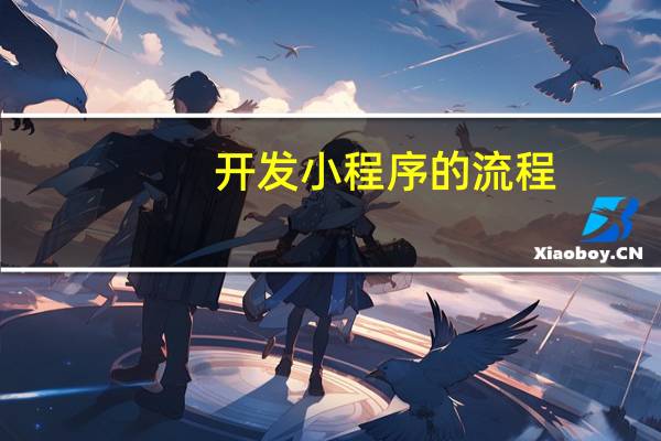 开发小程序的流程