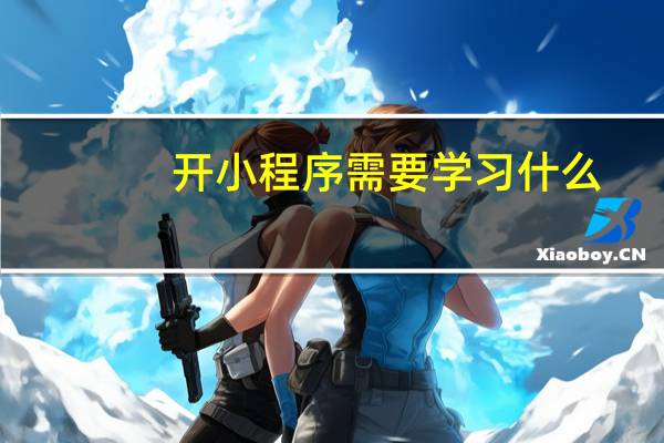 开小程序需要学习什么