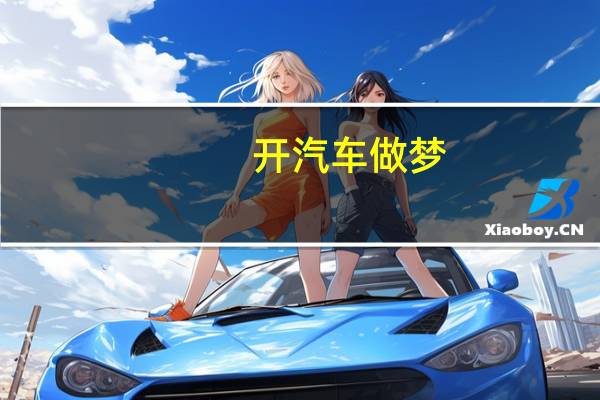 开汽车做梦