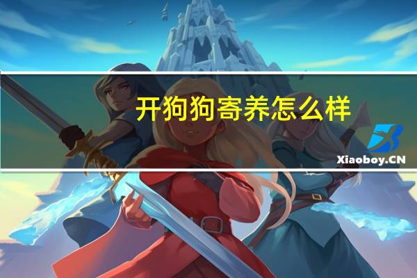 开狗狗寄养怎么样