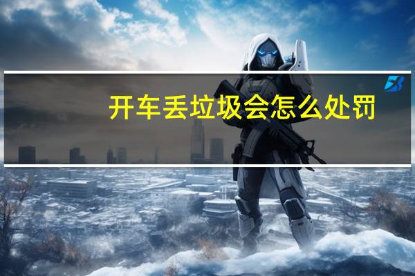 开车丢垃圾会怎么处罚