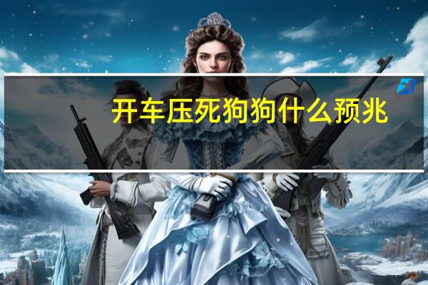 开车压死狗狗什么预兆
