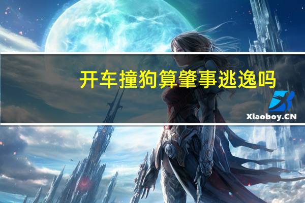 开车撞狗算肇事逃逸吗