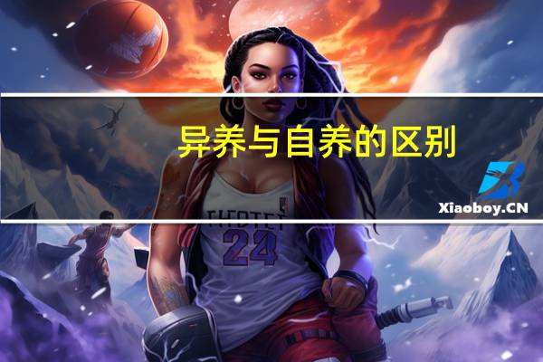 异养与自养的区别