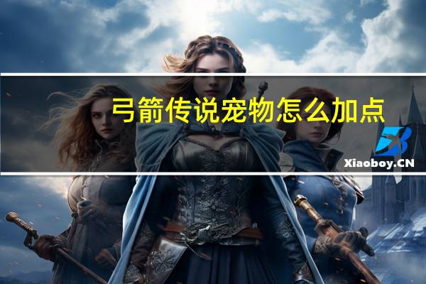 弓箭传说宠物怎么加点