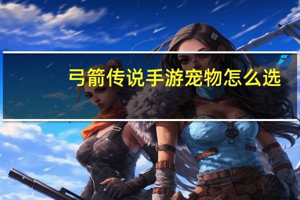 弓箭传说手游宠物怎么选