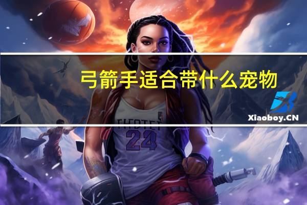弓箭手适合带什么宠物