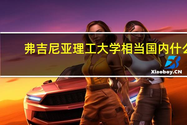 弗吉尼亚理工大学相当国内什么