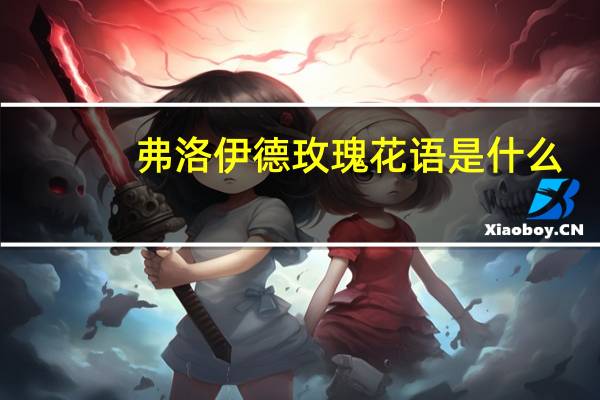 弗洛伊德玫瑰花语是什么