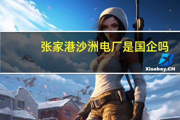 张家港沙洲电厂是国企吗