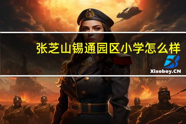 张芝山锡通园区小学怎么样