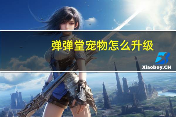 弹弹堂宠物怎么升级