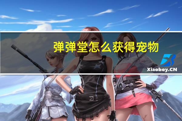 弹弹堂怎么获得宠物