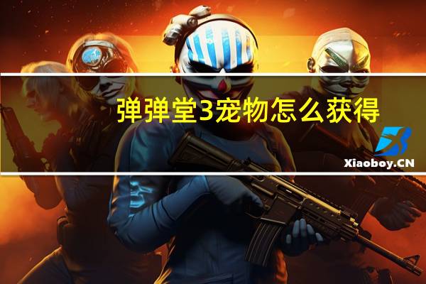 弹弹堂3宠物怎么获得