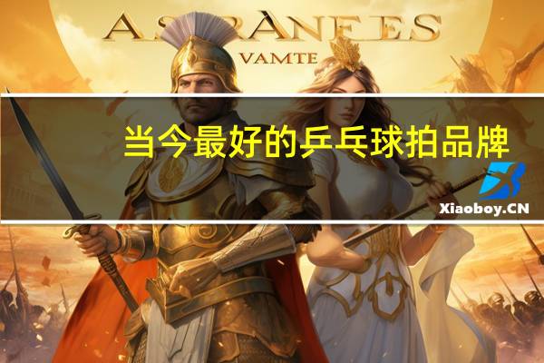 当今最好的乒乓球拍品牌