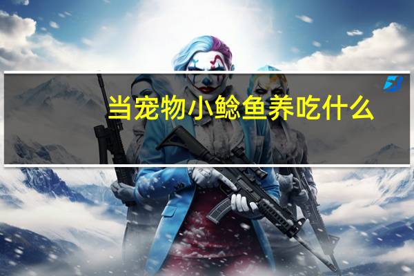 当宠物小鲶鱼养吃什么
