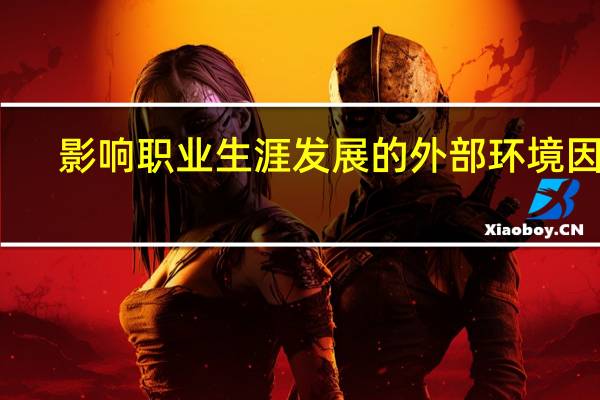 影响职业生涯发展的外部环境因素