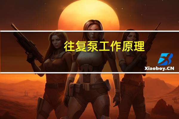 往复泵工作原理