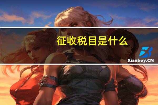 征收税目是什么