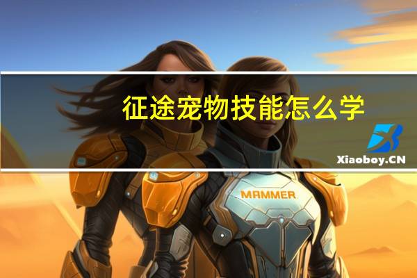 征途宠物技能怎么学