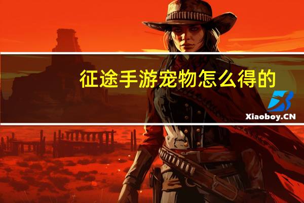 征途手游宠物怎么得的