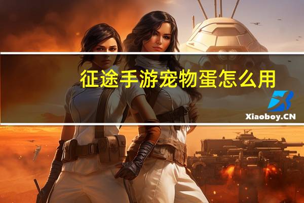 征途手游宠物蛋怎么用