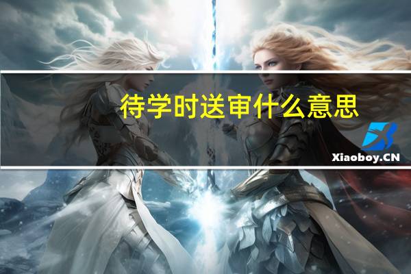 待学时送审什么意思