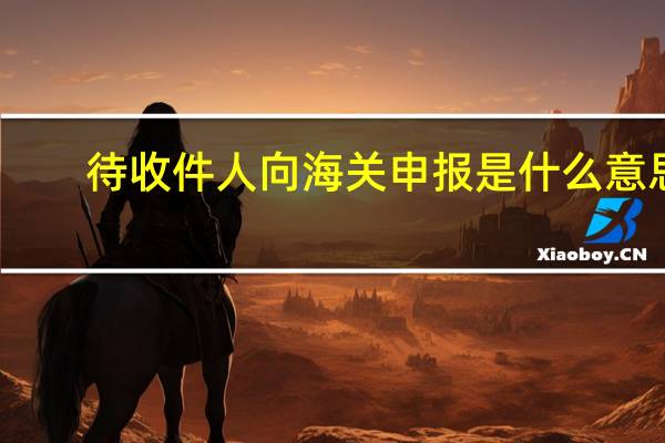 待收件人向海关申报是什么意思