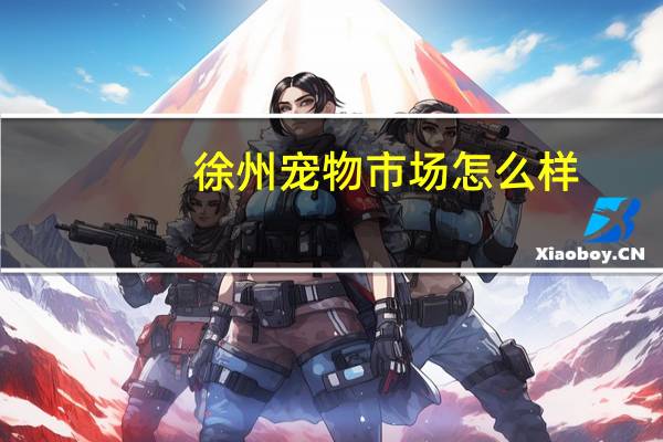 徐州宠物市场怎么样