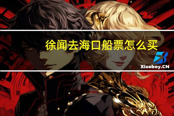 徐闻去海口船票怎么买