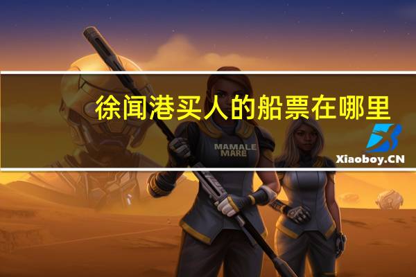 徐闻港买人的船票在哪里