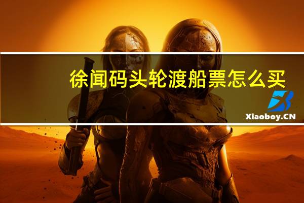 徐闻码头轮渡船票怎么买