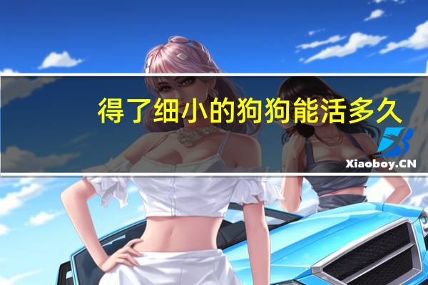 得了细小的狗狗能活多久