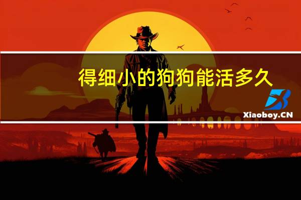 得细小的狗狗能活多久