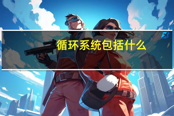 循环系统包括什么