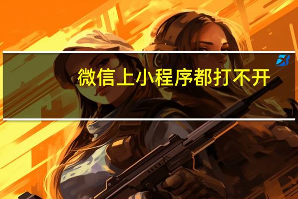 微信上小程序都打不开
