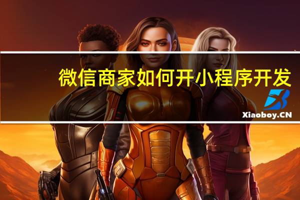 微信商家如何开小程序开发