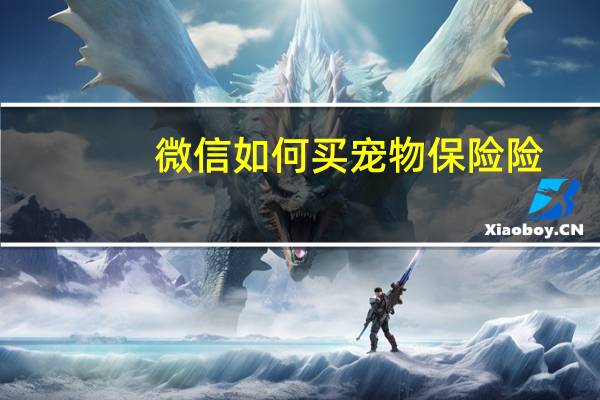 微信如何买宠物保险险