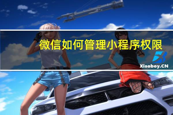 微信如何管理小程序权限