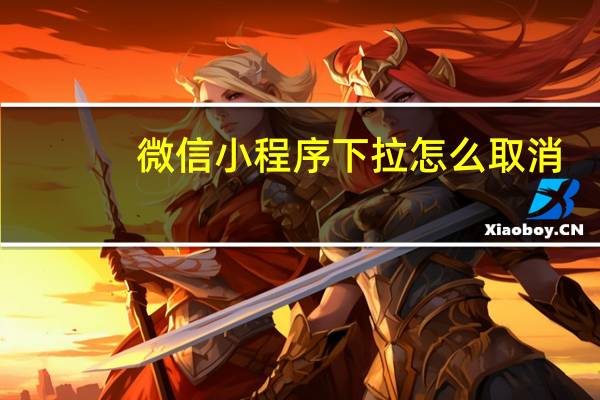 微信小程序下拉怎么取消