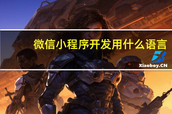 微信小程序开发用什么语言