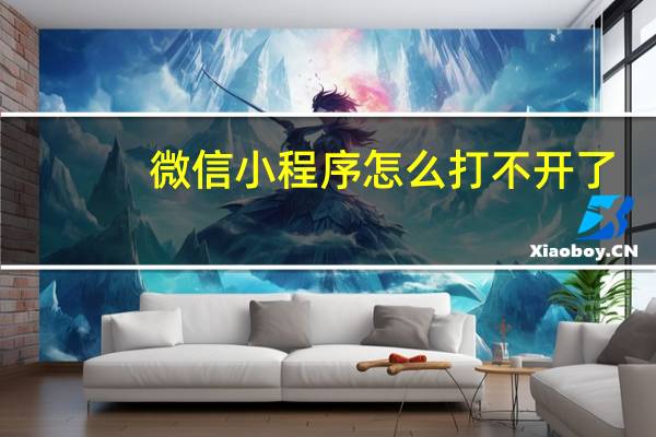 微信小程序怎么打不开了