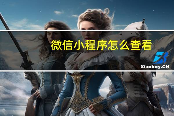 微信小程序怎么查看