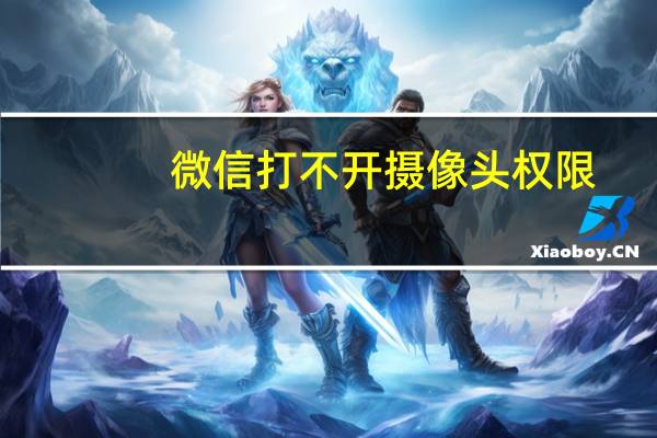 微信打不开摄像头权限