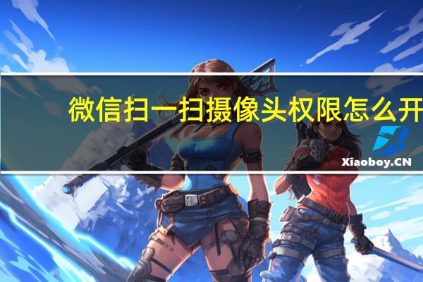 微信扫一扫摄像头权限怎么开