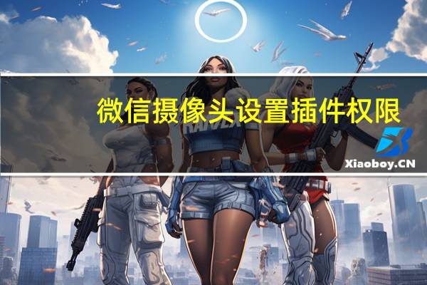 微信摄像头设置插件权限