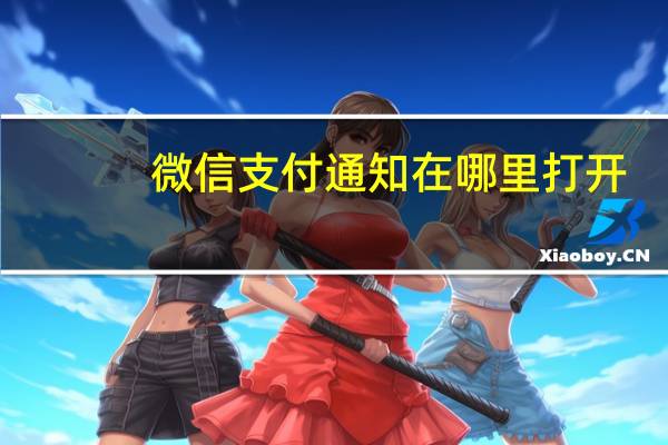 微信支付通知在哪里打开