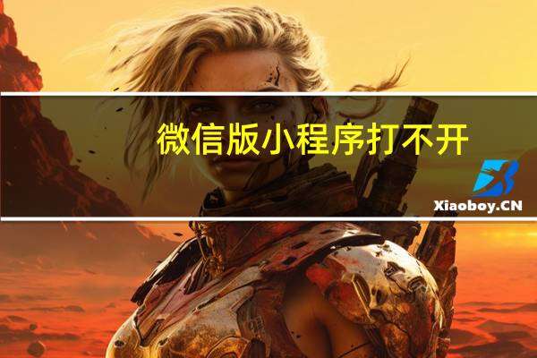 微信版小程序打不开